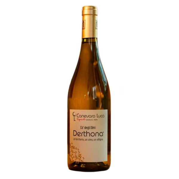 DERTHONA CA DEGLI OLMI TIMORASSO 2023